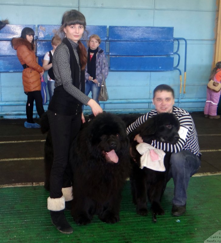 Фотография № 120559