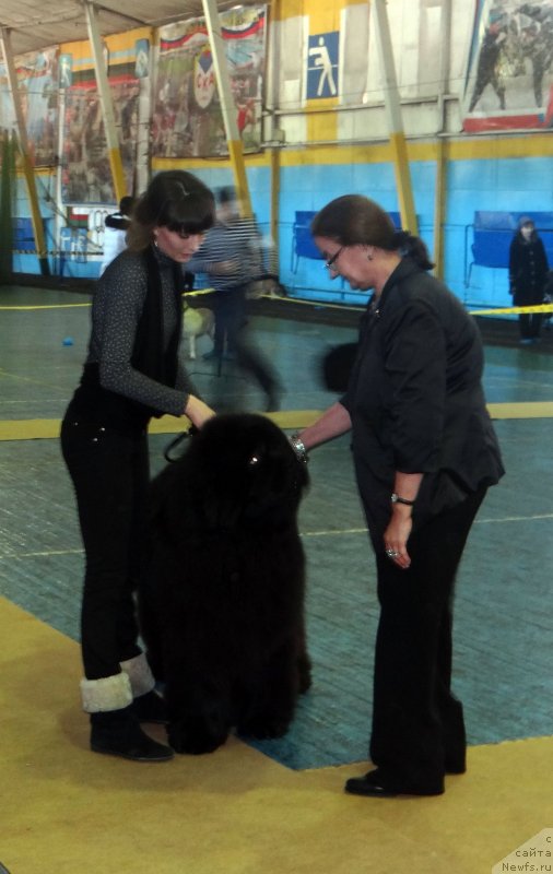 Фотография № 120560