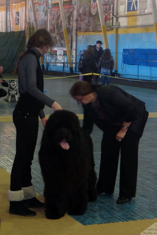 Фотография № 120561