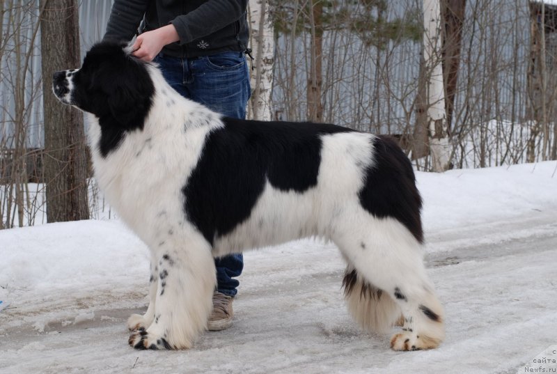 Фотография № 120562