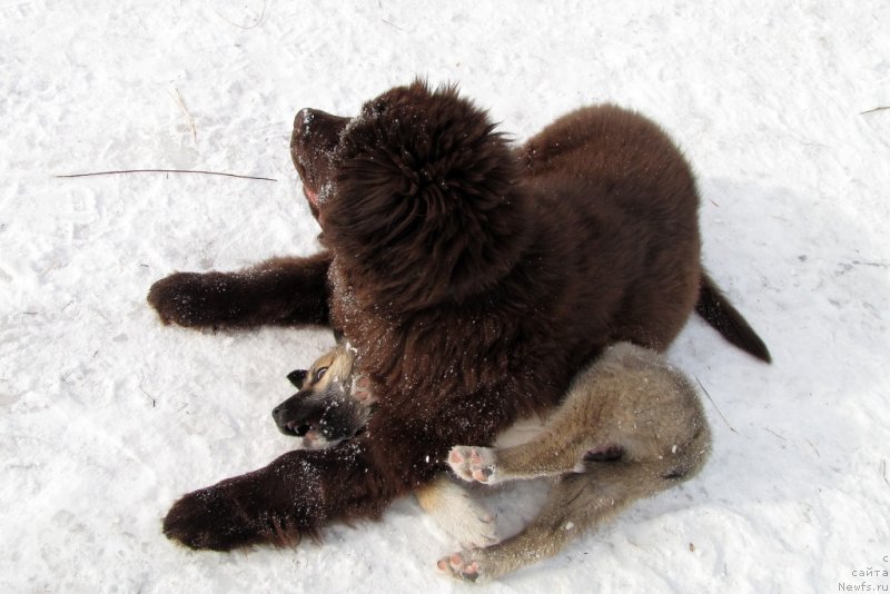 Фотография № 120585