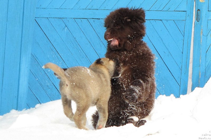 Фотография № 120586