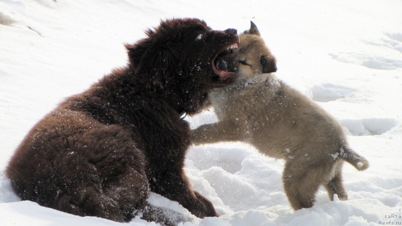 Фотография № 120587