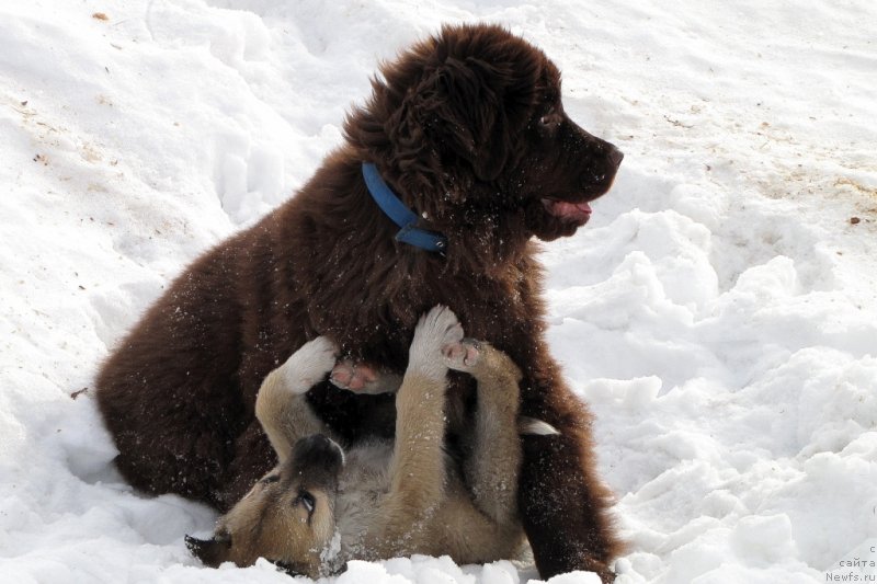 Фотография № 120588