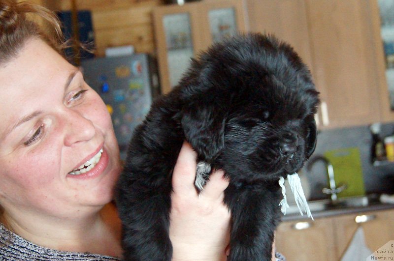 Фото: Елена Гусева