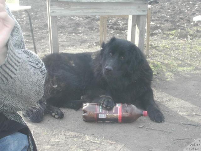 Фото: Мишель