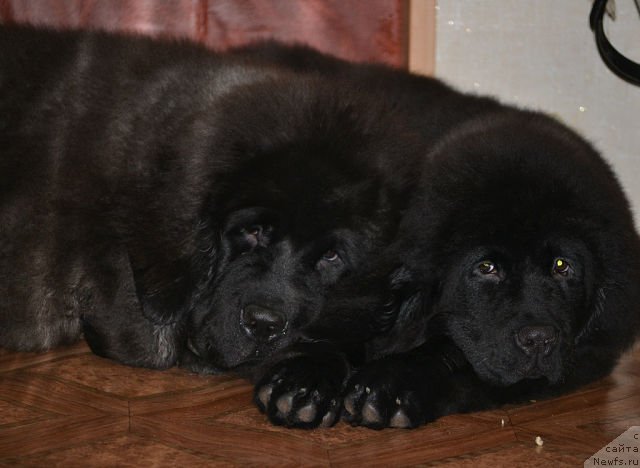 Фотография № 120639