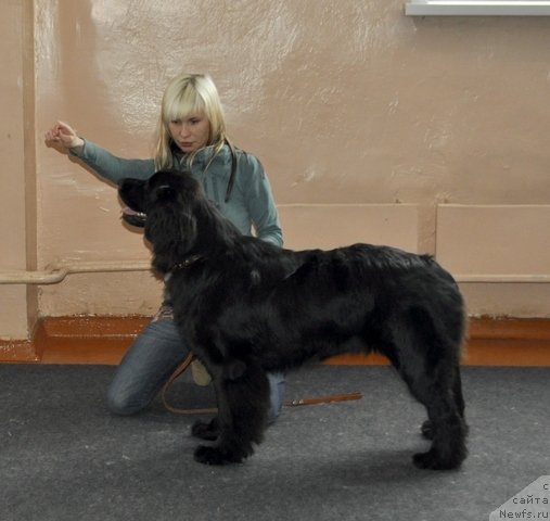 Фотография № 120643