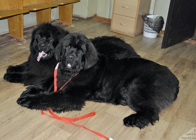 Фотография № 120644