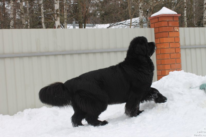 Фотография № 120705