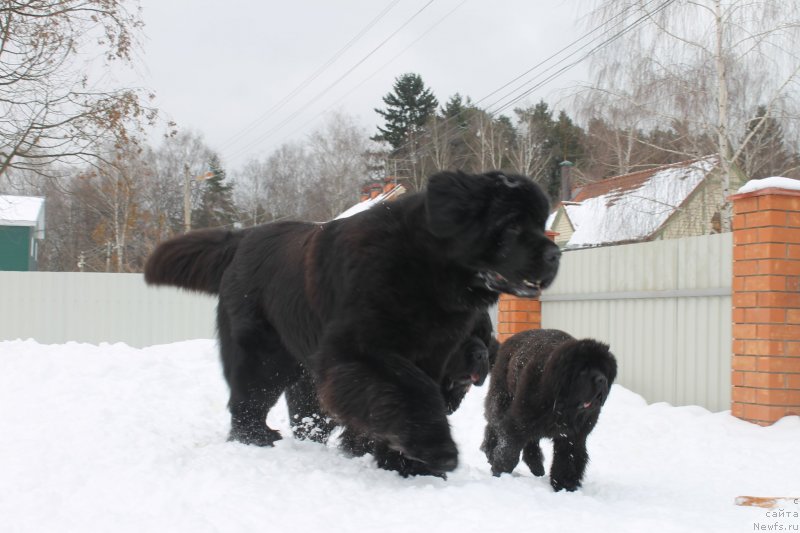 Фотография № 120708