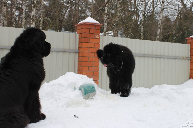 Фотография № 120709