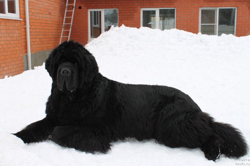 Фотография № 120712