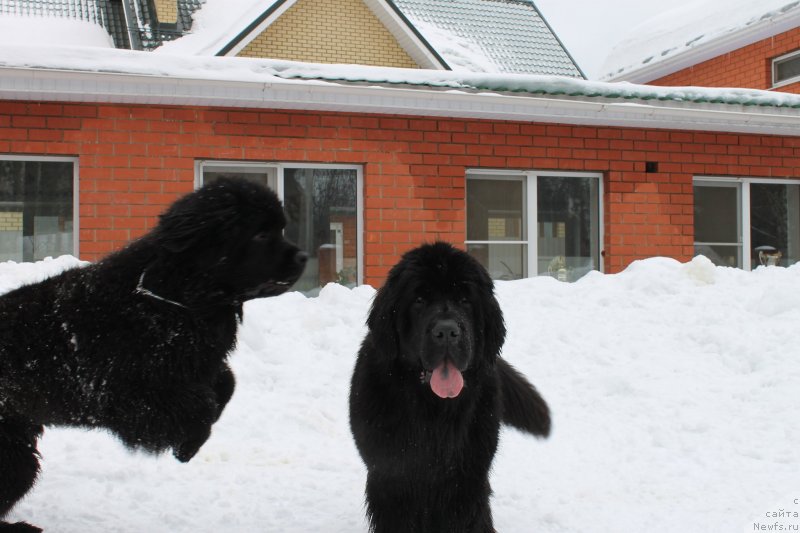 Фотография № 120713