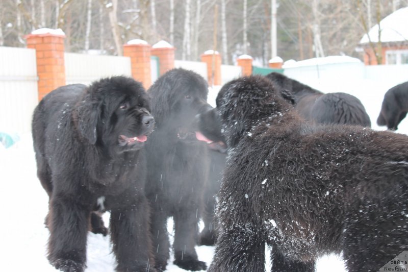 Фотография № 120714