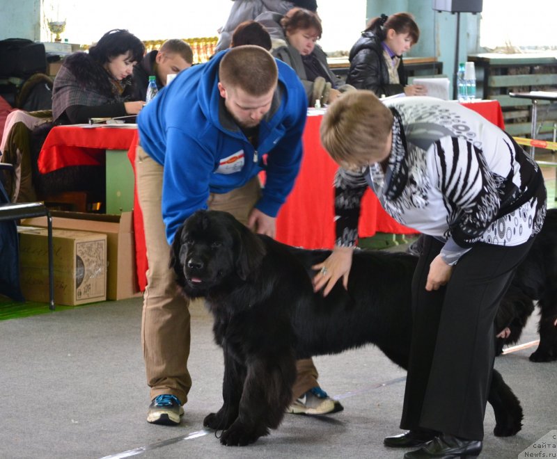 Фотография № 120716