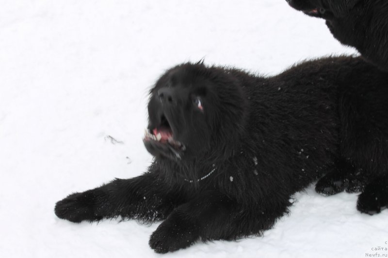 Фотография № 120718