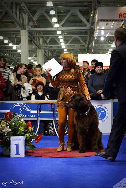 Фотография № 120743