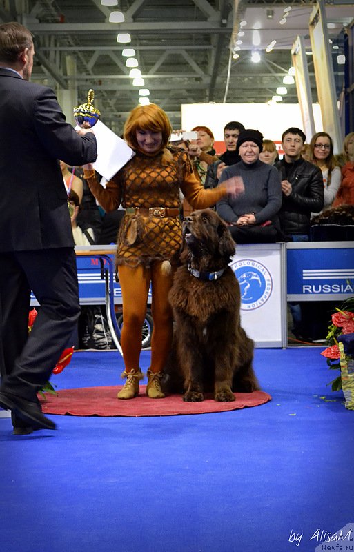 Фотография № 120744