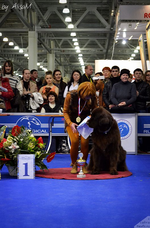 Фотография № 120745