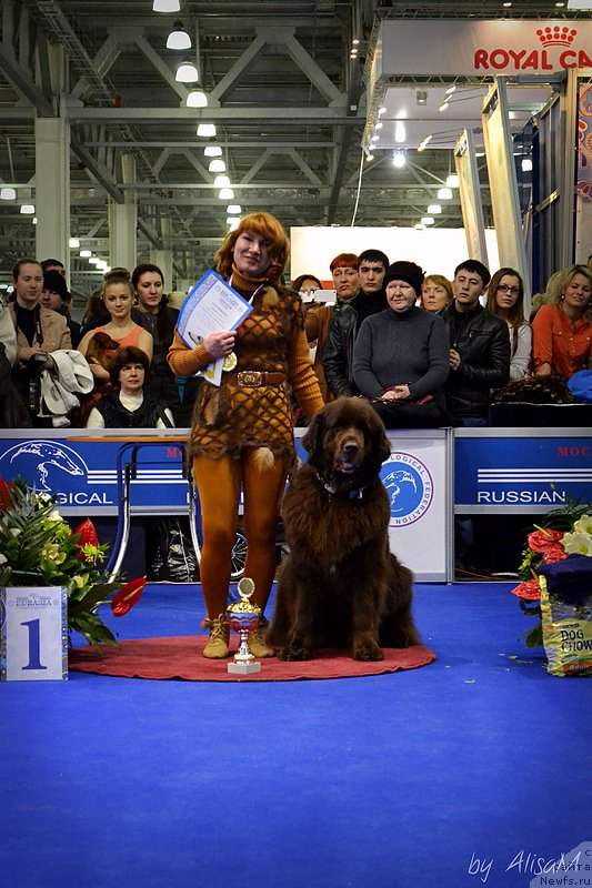 Фотография № 120746