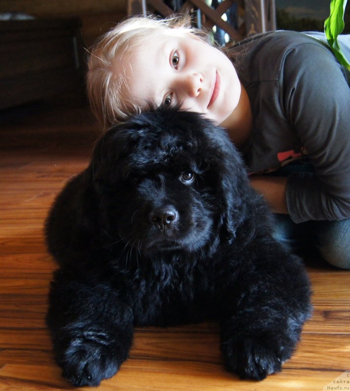 Фотография № 120749