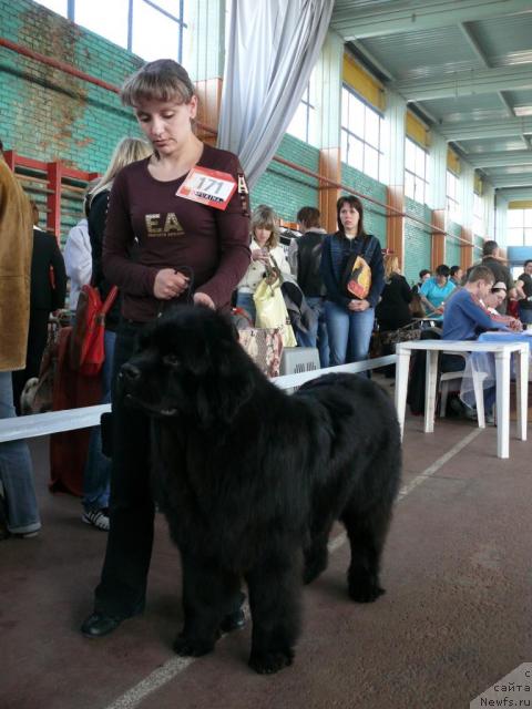 Фотография № 12075