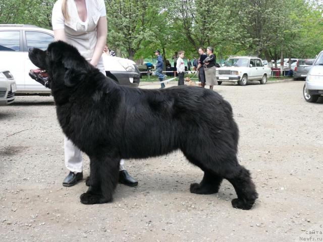 Фотография № 12077