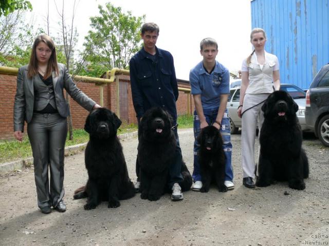 Фотография № 12078