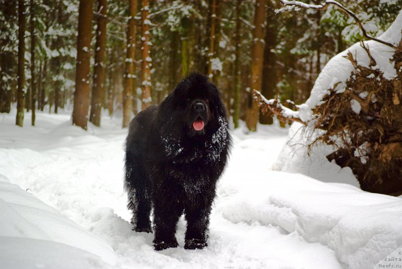 Фотография № 120788