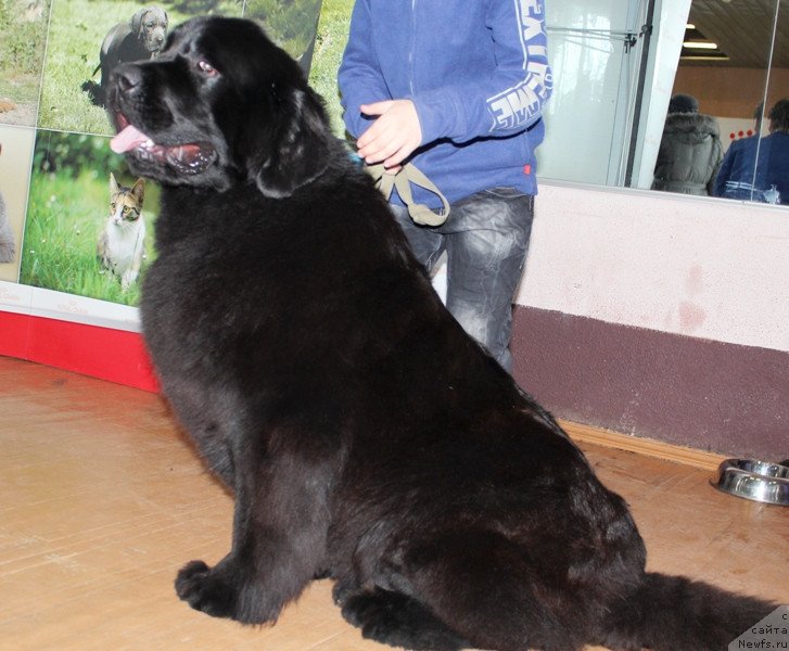 Фотография № 120789