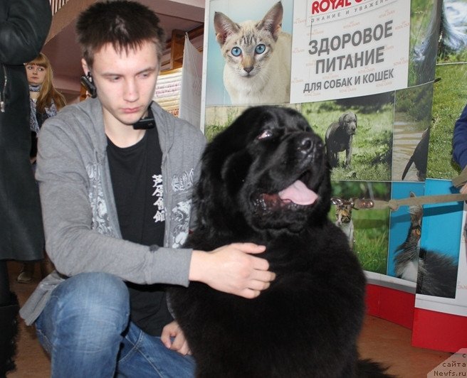 Фотография № 120790