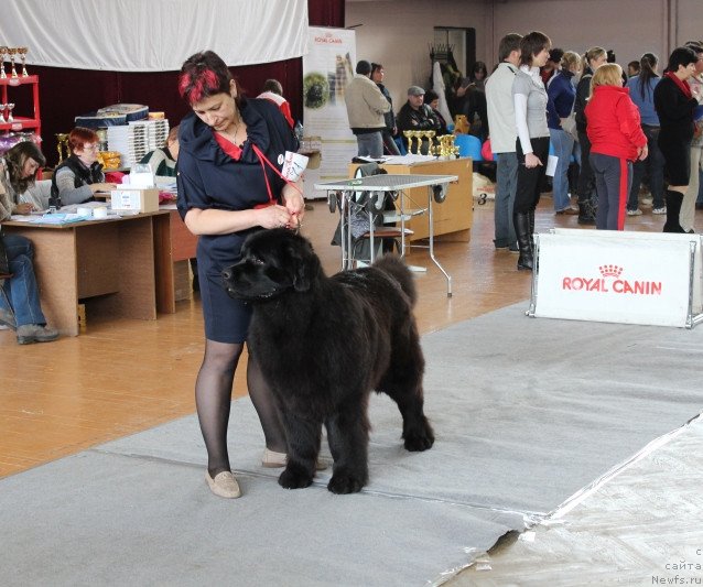 Фотография № 120791