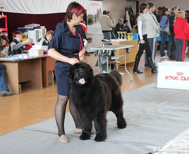 Фотография № 120792