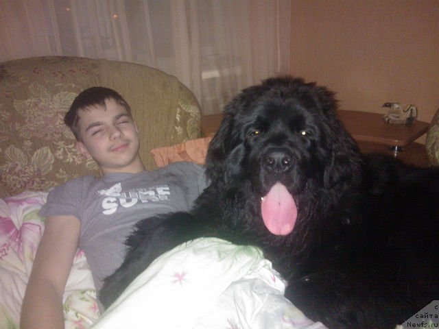 Фотография № 120892