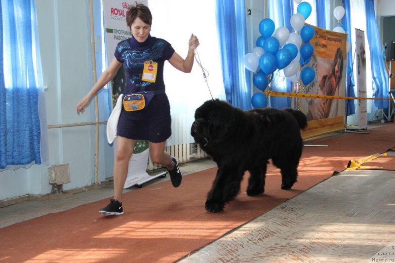 Фотография № 120908