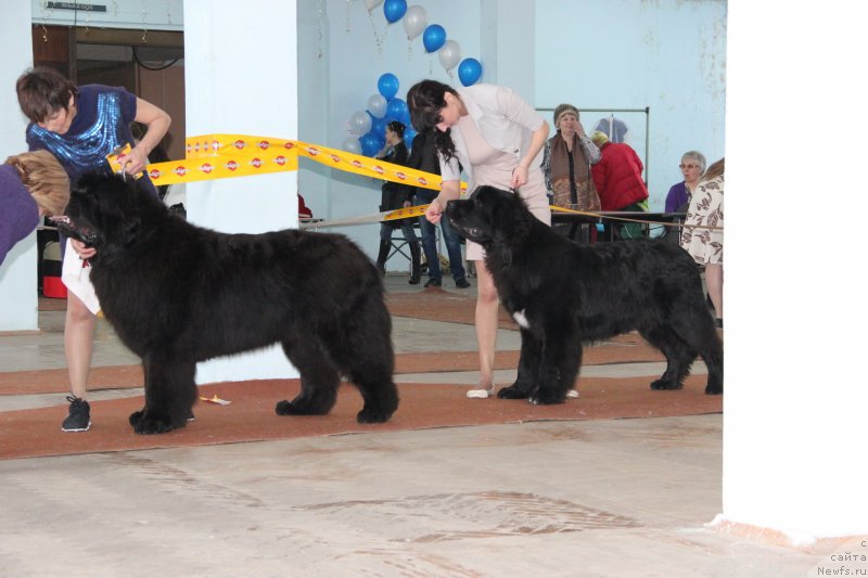 Фотография № 120918