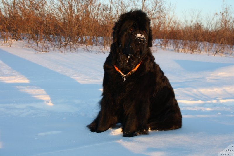 Фотография № 120923