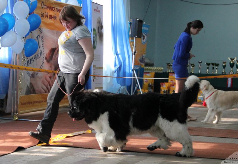 Фотография № 120931