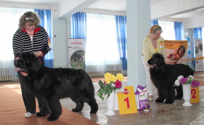 Фотография № 120947