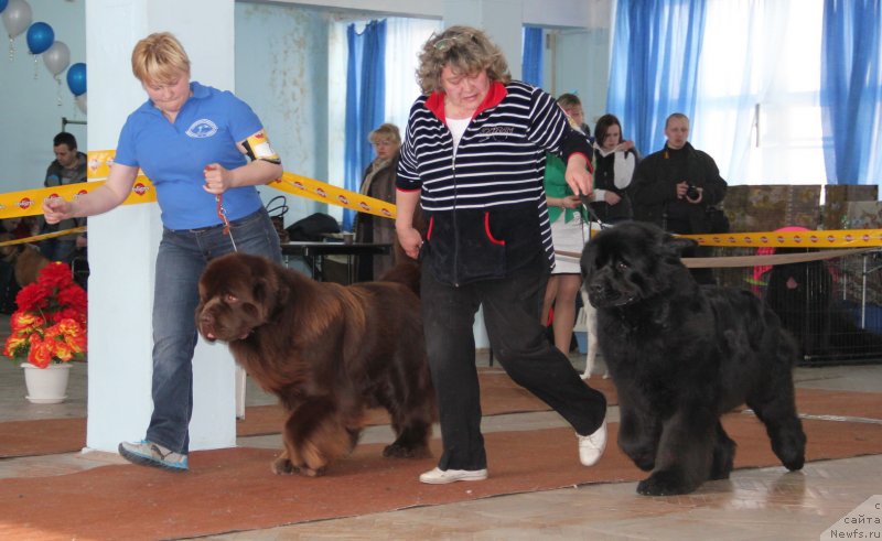 Фотография № 120950