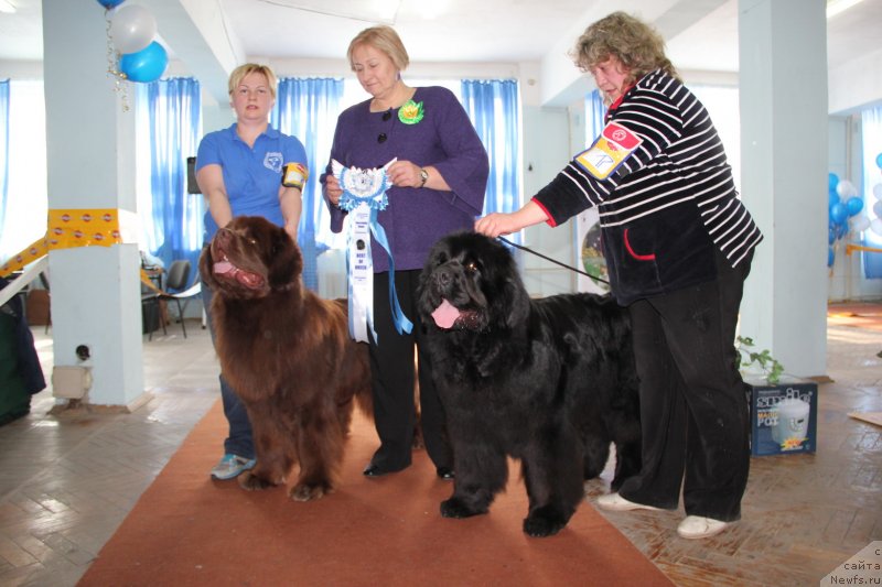 Фотография № 120953