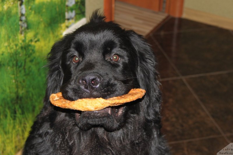 Фото: Вячеслав Серебряков