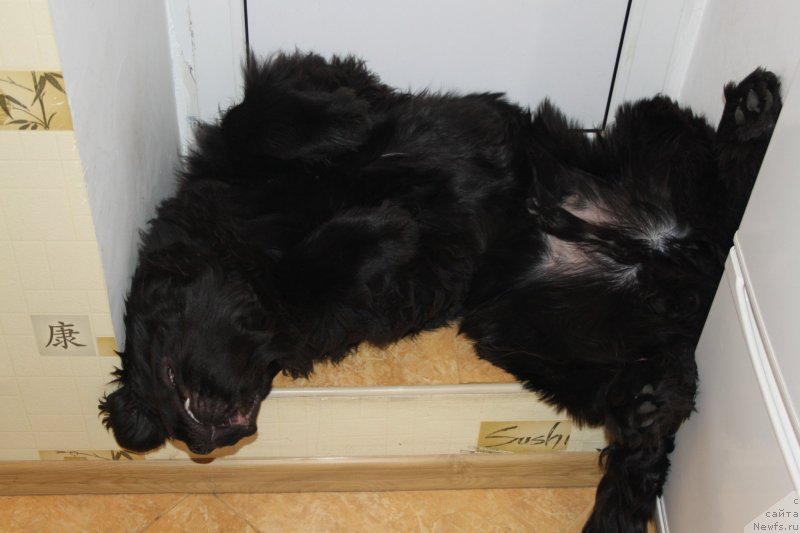 Фото: Вячеслав Серебряков