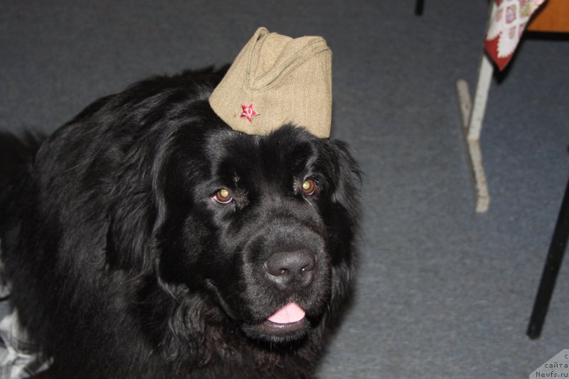 Фото: Вячеслав Серебряков