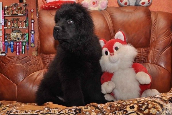 Фото: Вячеслав Серебряков