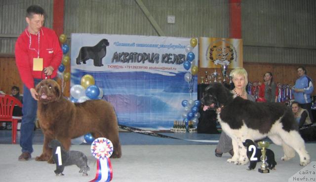 Фотография № 12096