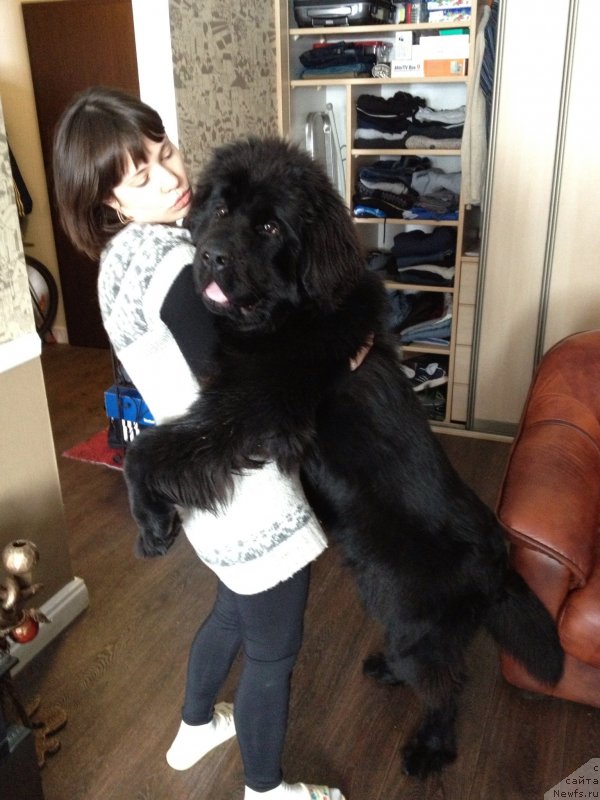 Фотография № 121004