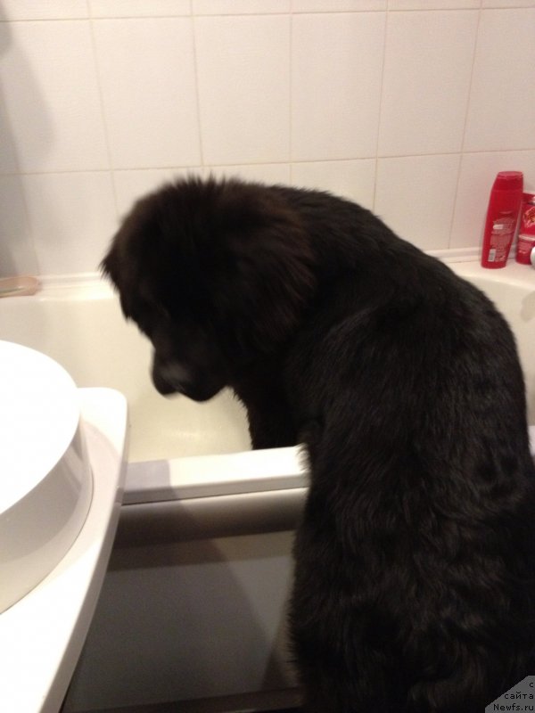 Фотография № 121005