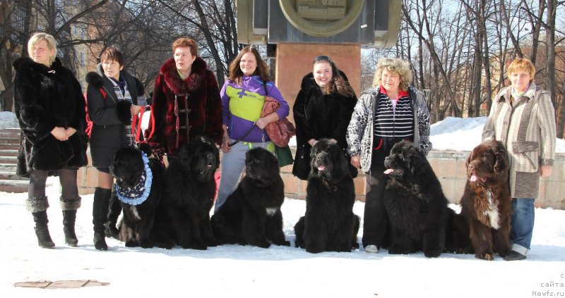 Фотография № 121014